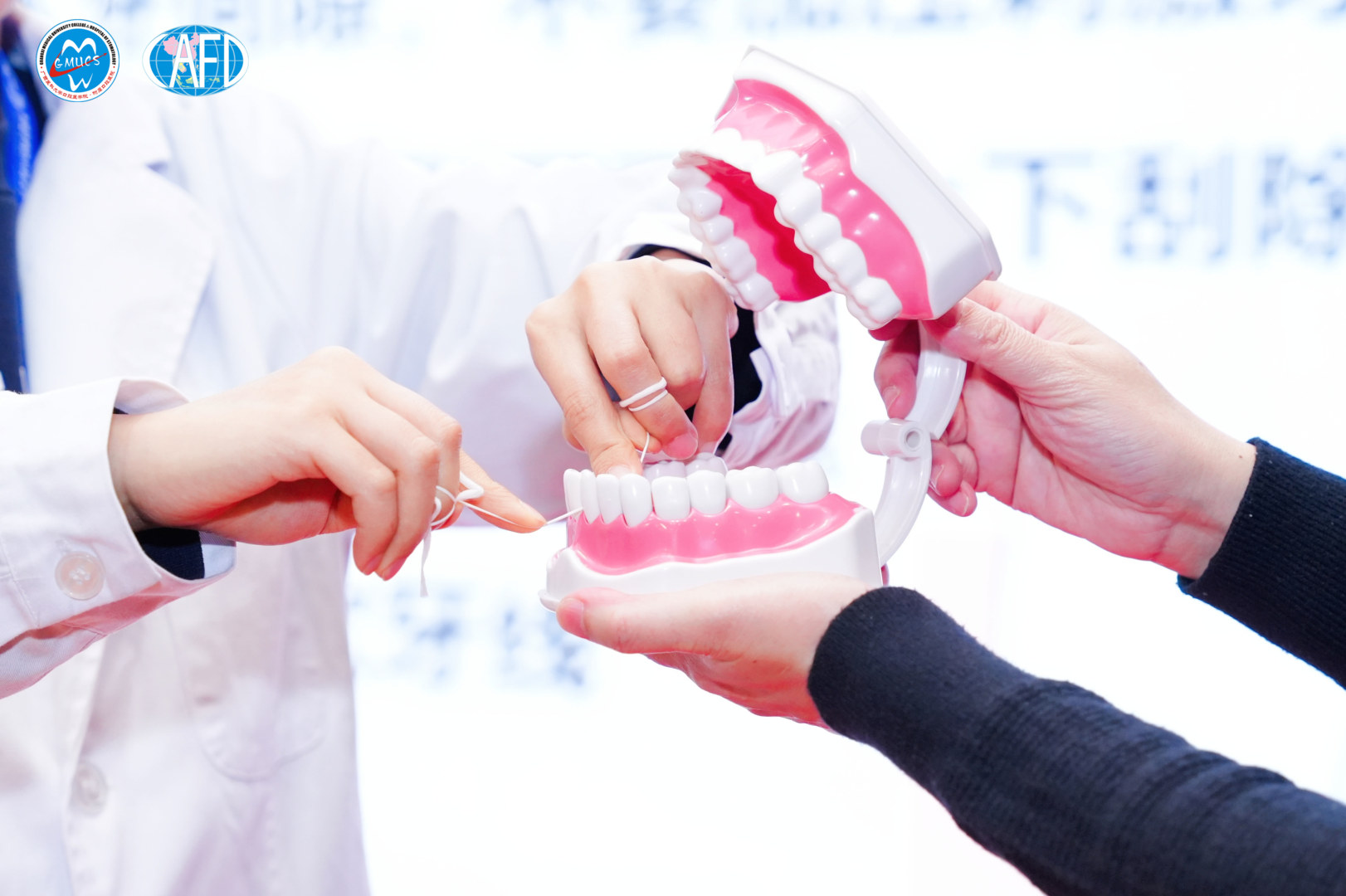 DSC04514-opq4136087938.jpg (209 KB)